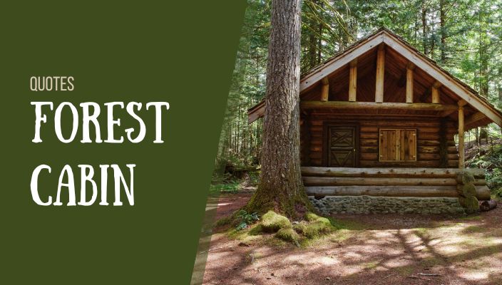 Forest Cabin Quotes
